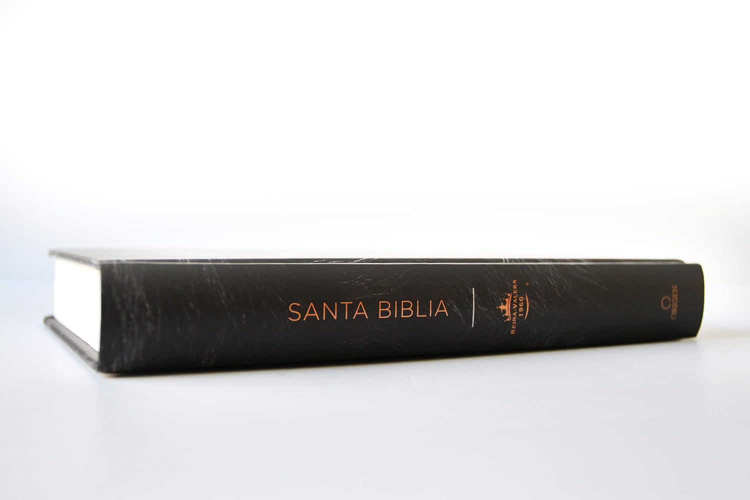 Biblia RVR 1960 León de Judá Tapa Dura Letra Grande - Imagen 9