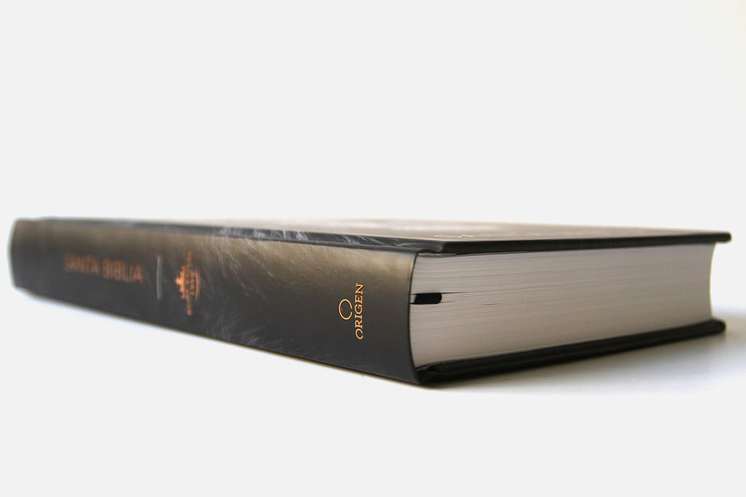 Biblia RVR 1960 León de Judá Tapa Dura Letra Grande - Imagen 8