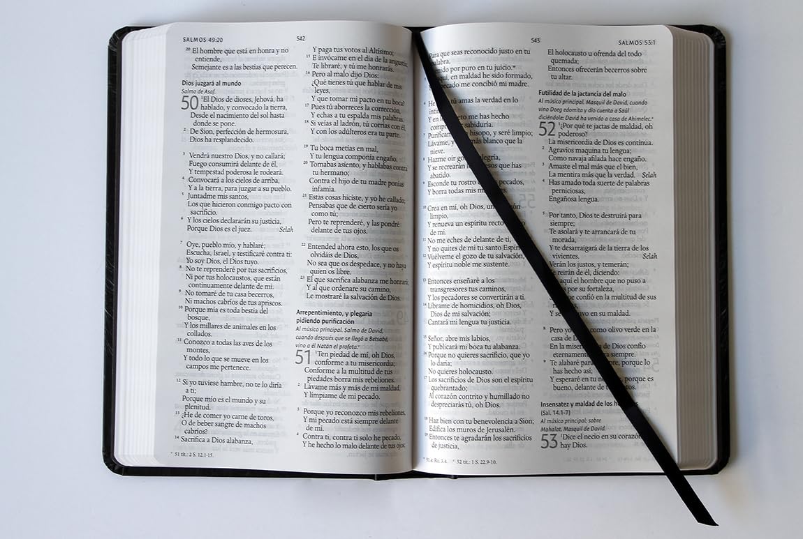 Biblia RVR 1960 León de Judá Tapa Dura Letra Grande - Imagen 7
