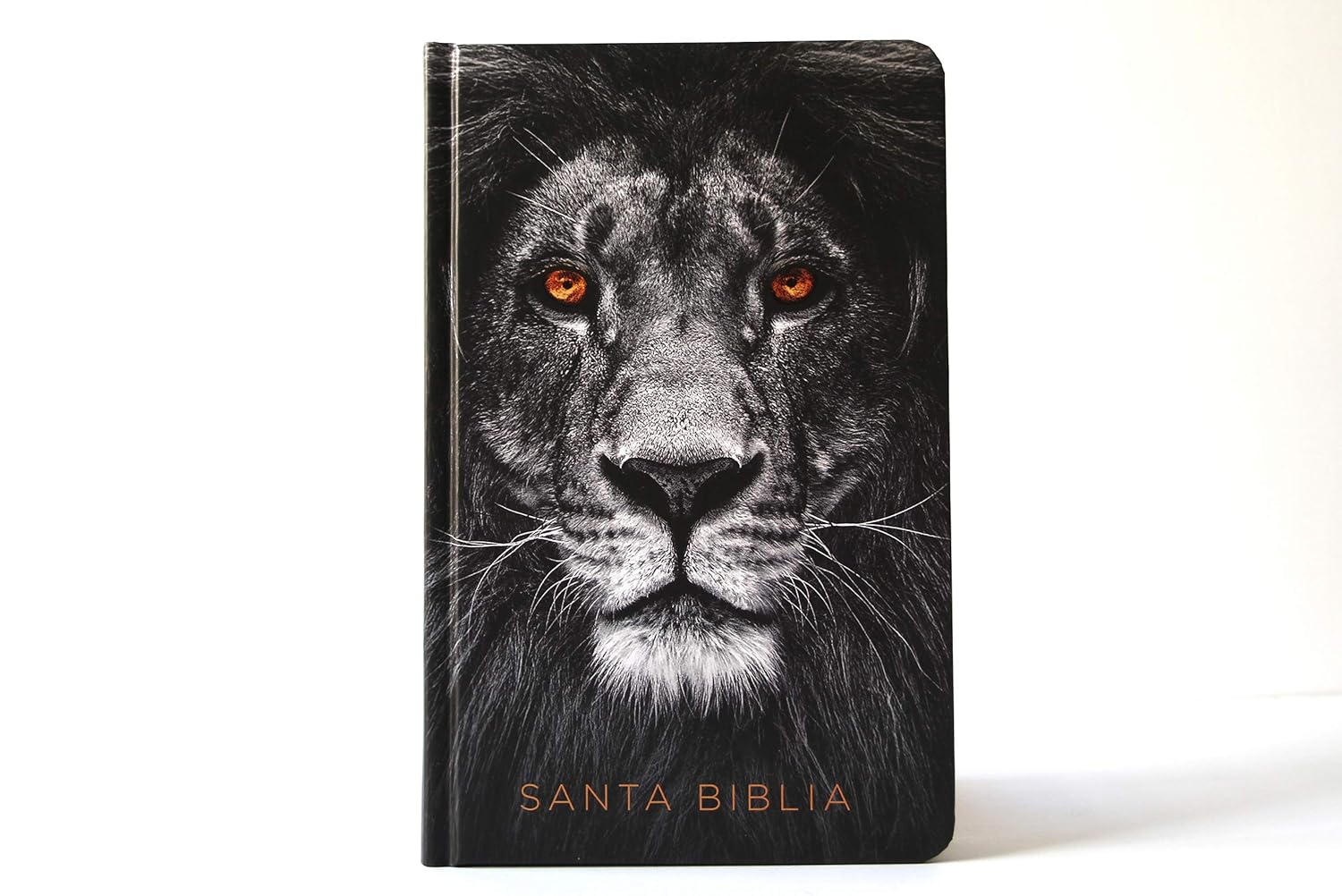 Biblia RVR 1960 León de Judá Tapa Dura Letra Grande - Imagen 4