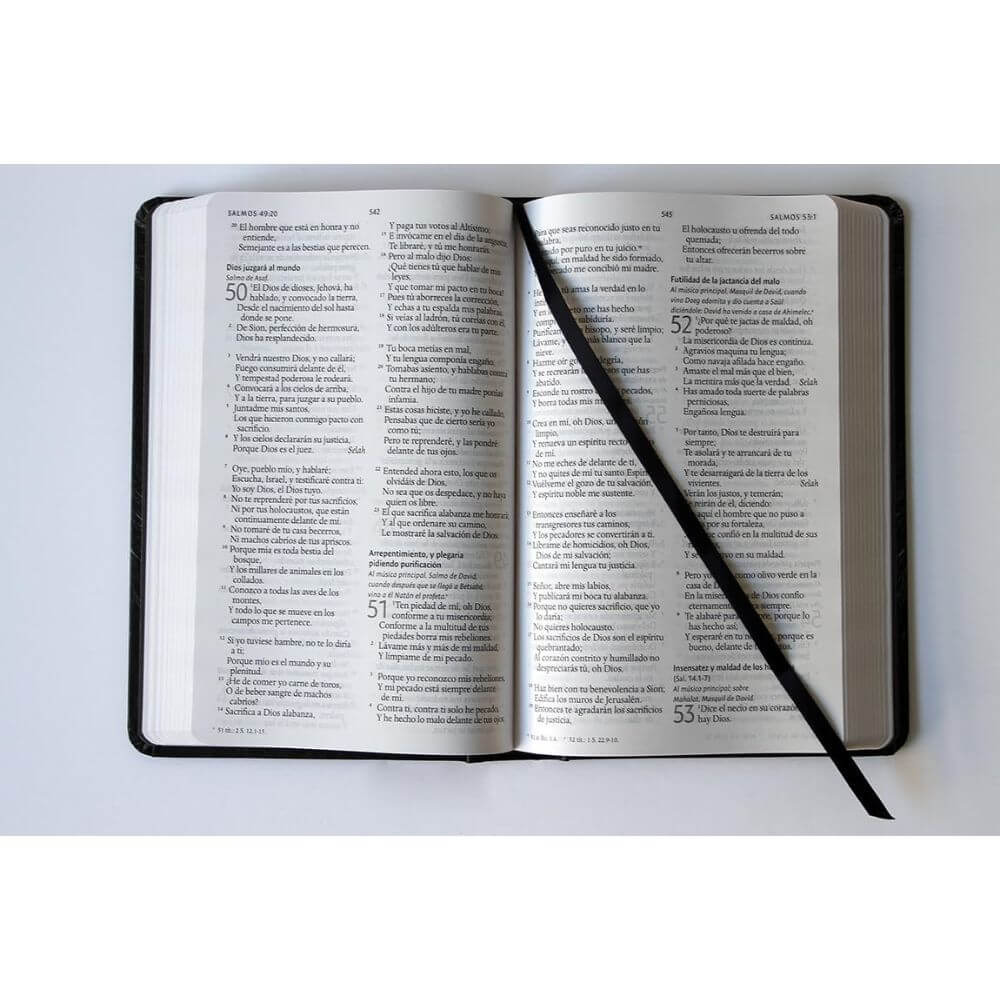 Biblia RVR 1960 León de Judá Tapa Dura Letra Grande - Imagen 7