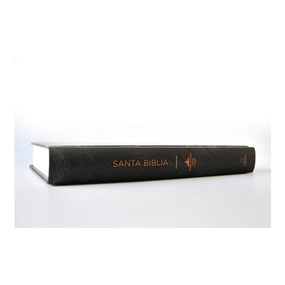 Biblia RVR 1960 León de Judá Tapa Dura Letra Grande - Imagen 4