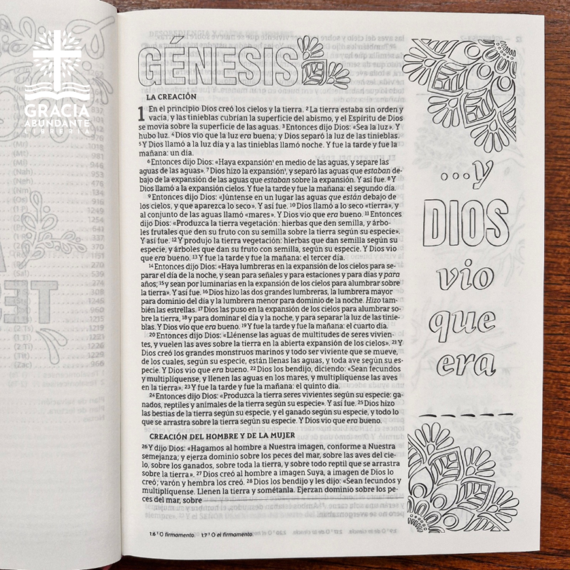 Biblia NBLA, Edición Artística Ilustrada, Tapa dura/Tela, Rosado, Palabras de Jesús en Rojo, Letra Comfort Print - Imagen 5