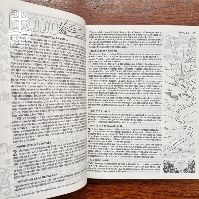 Biblia NBLA, Edición Artística Ilustrada, Tapa dura/Tela, Rosado, Palabras de Jesús en Rojo, Letra Comfort Print - Imagen 6