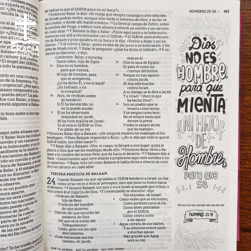 Biblia NBLA, Edición Artística Ilustrada, Tapa dura/Tela, Rosado, Palabras de Jesús en Rojo, Letra Comfort Print - Imagen 8