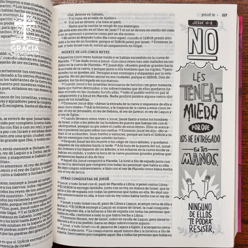 Biblia NBLA, Edición Artística Ilustrada, Tapa dura/Tela, Rosado, Palabras de Jesús en Rojo, Letra Comfort Print - Imagen 10