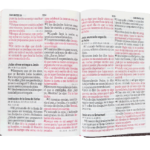 Biblia Reina Valera 1960 Mediana Letra Gigante Imitación Piel Rosa Marrón [RVR066cLSGiPJRTI] - Imagen 3