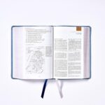 Biblia de Estudio NBLA, Interior a dos colores, Leathersoft, Gris, Comfort Print - Imagen 4