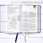 Biblia de Estudio NBLA, Interior a dos colores, Leathersoft, Gris, Comfort Print - Imagen 3