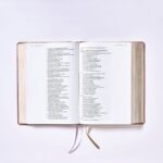 Biblia NBLA Ama a Dios Grandemente, Imitación Piel Oro Rosa - Imagen 8