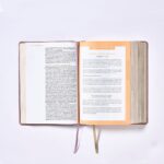 Biblia NBLA Ama a Dios Grandemente, Imitación Piel Oro Rosa - Imagen 7