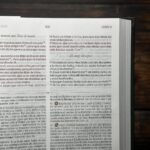 Biblia de Estudio Patrística RVR, Tapa dura - Imagen 8