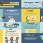 Biblia infográfica para niños - Volumen 2 - Imagen 2