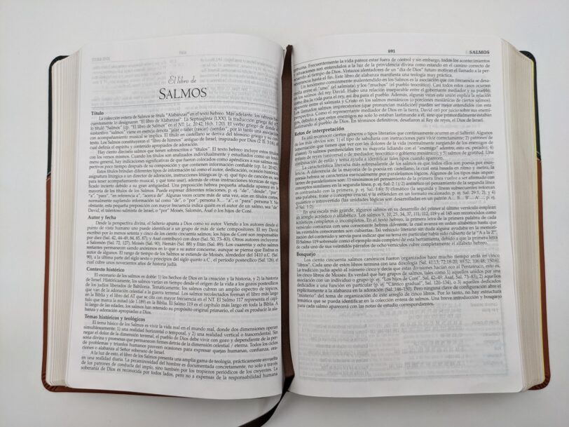 Biblia De Estudio MacArthur RVR60 Piel Negra Y Café - Imagen 11