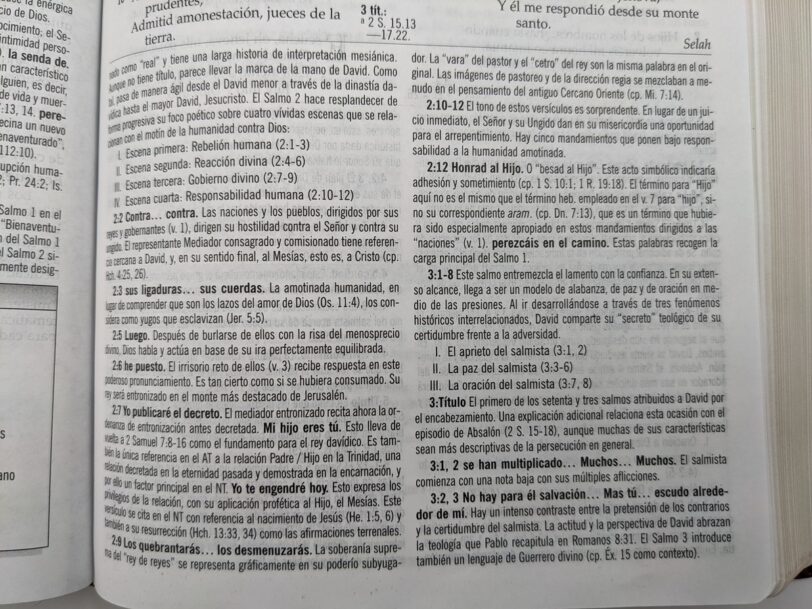 Biblia De Estudio MacArthur RVR60 Piel Negra Y Café - Imagen 10