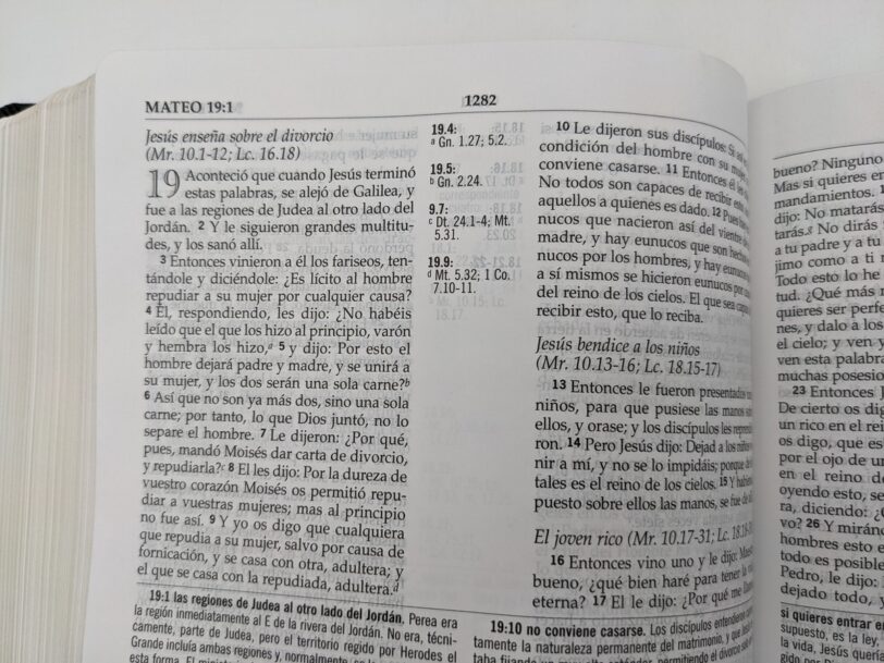 Biblia De Estudio MacArthur RVR60 Piel Negra Y Café - Imagen 8