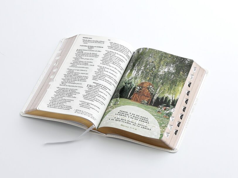 Biblia RVR60 de Bodas Canto Dorado PJR Con Caja De Lujo Tamaño Manual - Imagen 10