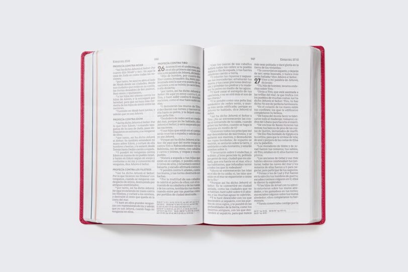 Biblia Mamá Ocupada RVR1960, Leathersoft, Magenta, Palabras de Jesús en Rojo, Comfort Print: Inspiración diaria aun cuando solo tienes un minuto - Imagen 7
