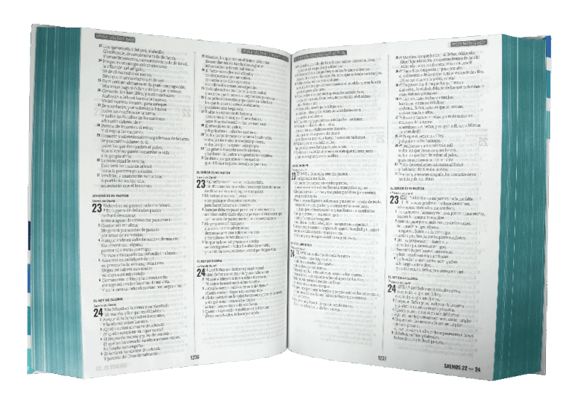 Biblia de Estudio Multiversiones Grande Letra Mediana Tapa Dura RVR60, RVC, DHH, TLA - Imagen 4
