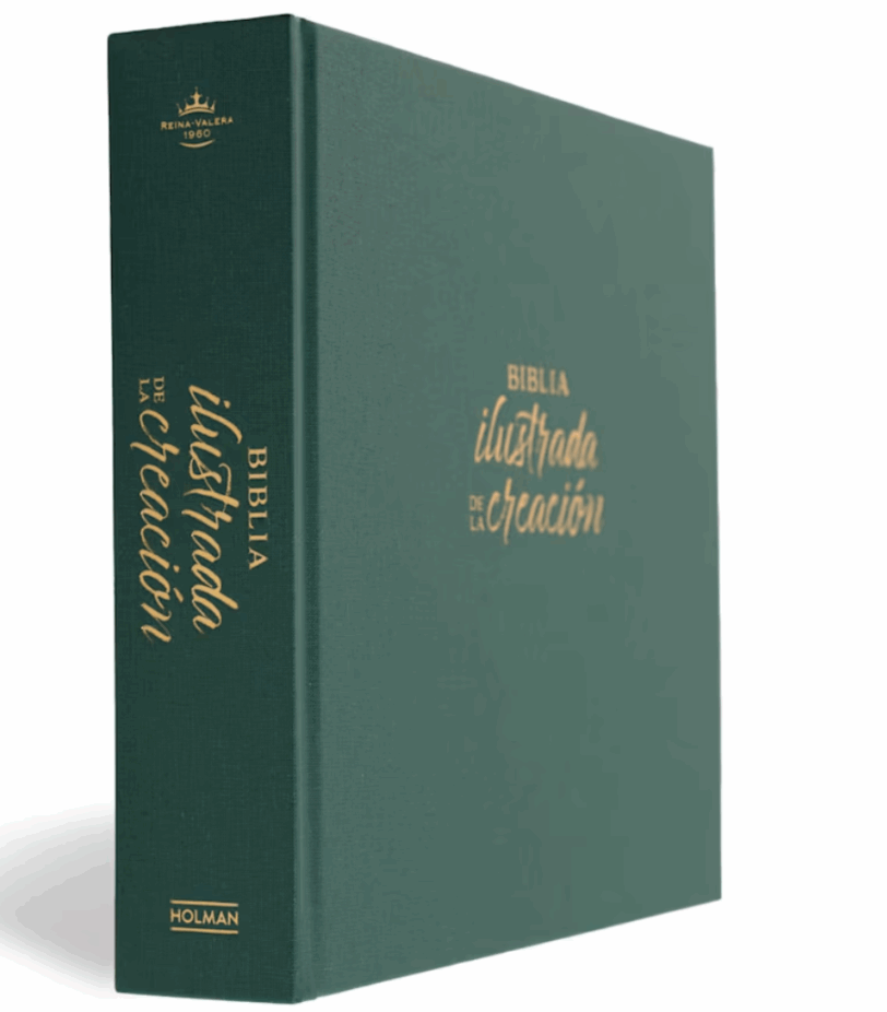 Biblia Ilustrada de la Creación RVR1960 Tapa Dura Tela Turquesa - Imagen 2