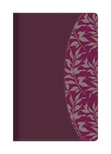 Biblia de estudio Reina Valera para mujer piel vino tinto fucsia con índice