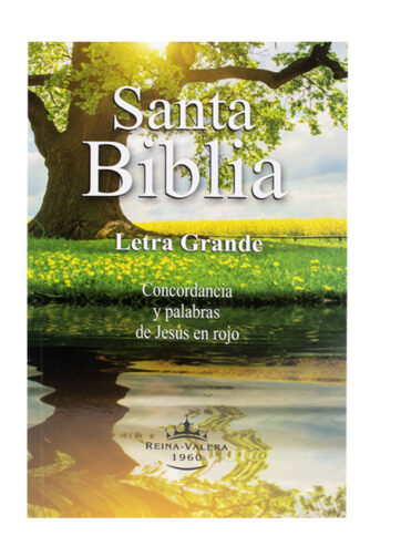 biblia rvr60 letra grande rústica colores portada