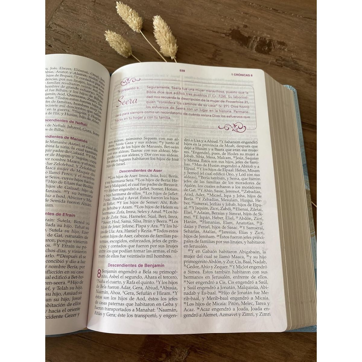 Biblia de la Mujer Conforme al Corazón de Dios RVR1960 Edición Pétalos Azul - Imagen 6