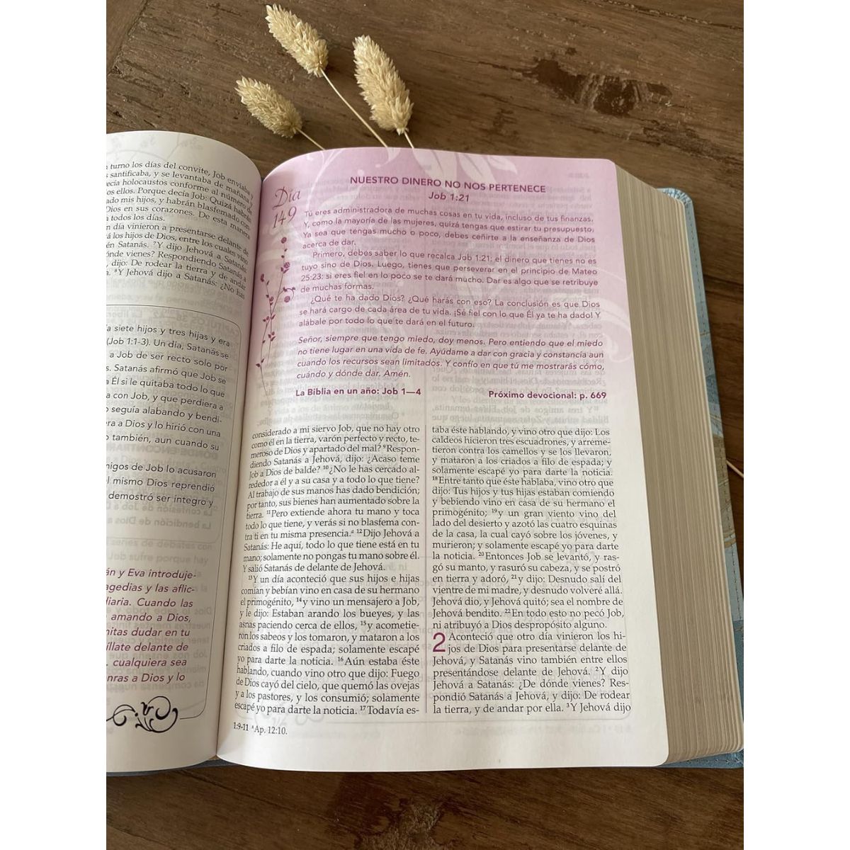 Biblia de la Mujer Conforme al Corazón de Dios RVR1960 Edición Pétalos Azul - Imagen 7