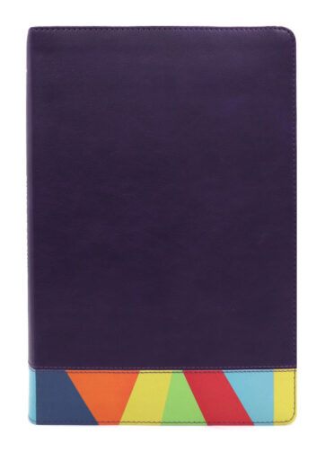 biblia-de-estudio-arcoiris-rvr1960-morado-multicolor.jpg