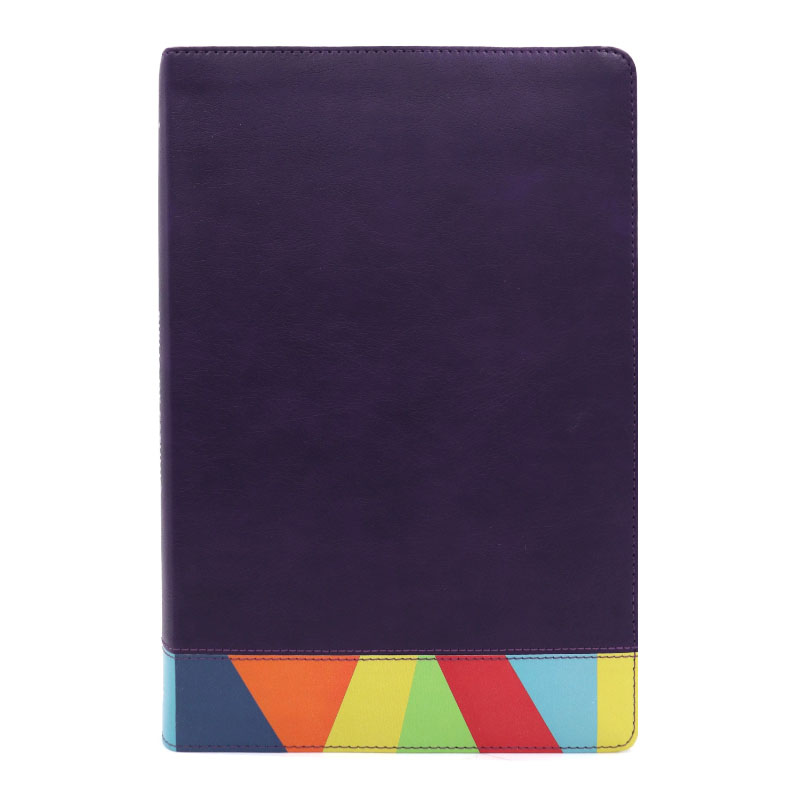biblia-de-estudio-arcoiris-rvr1960-morado-multicolor.jpg
