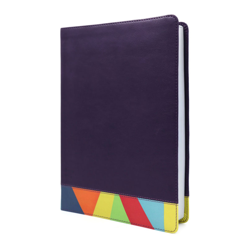 Biblia de Estudio Arcoíris RVR1960 Morado Multicolor - Imagen 3