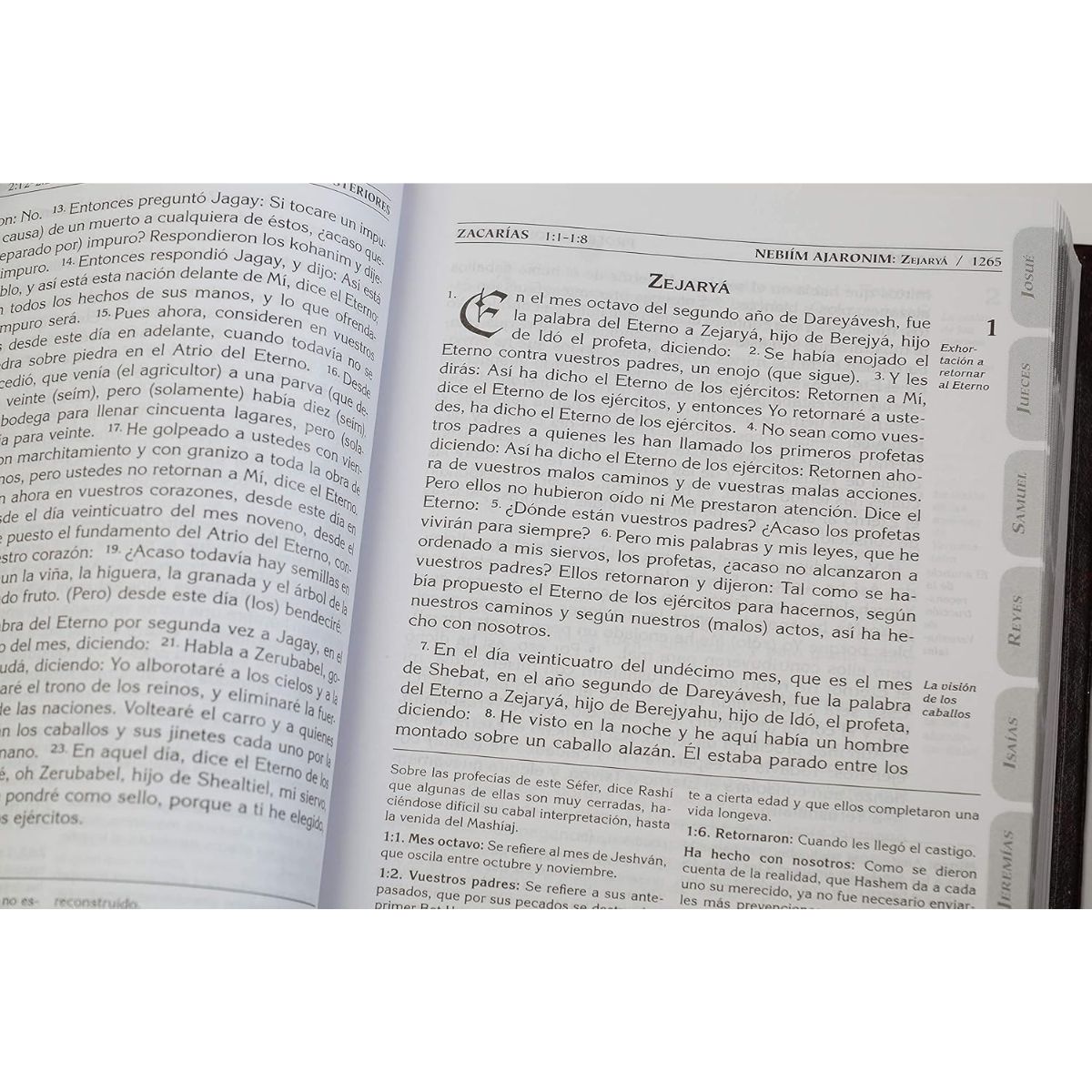Biblia Tanaj – Traducido y comentado (Edición en Español) - Imagen 6