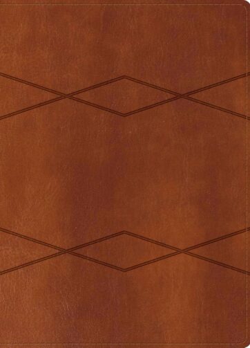 Biblia de Estudio Holman RVR1960 portada café símil piel
