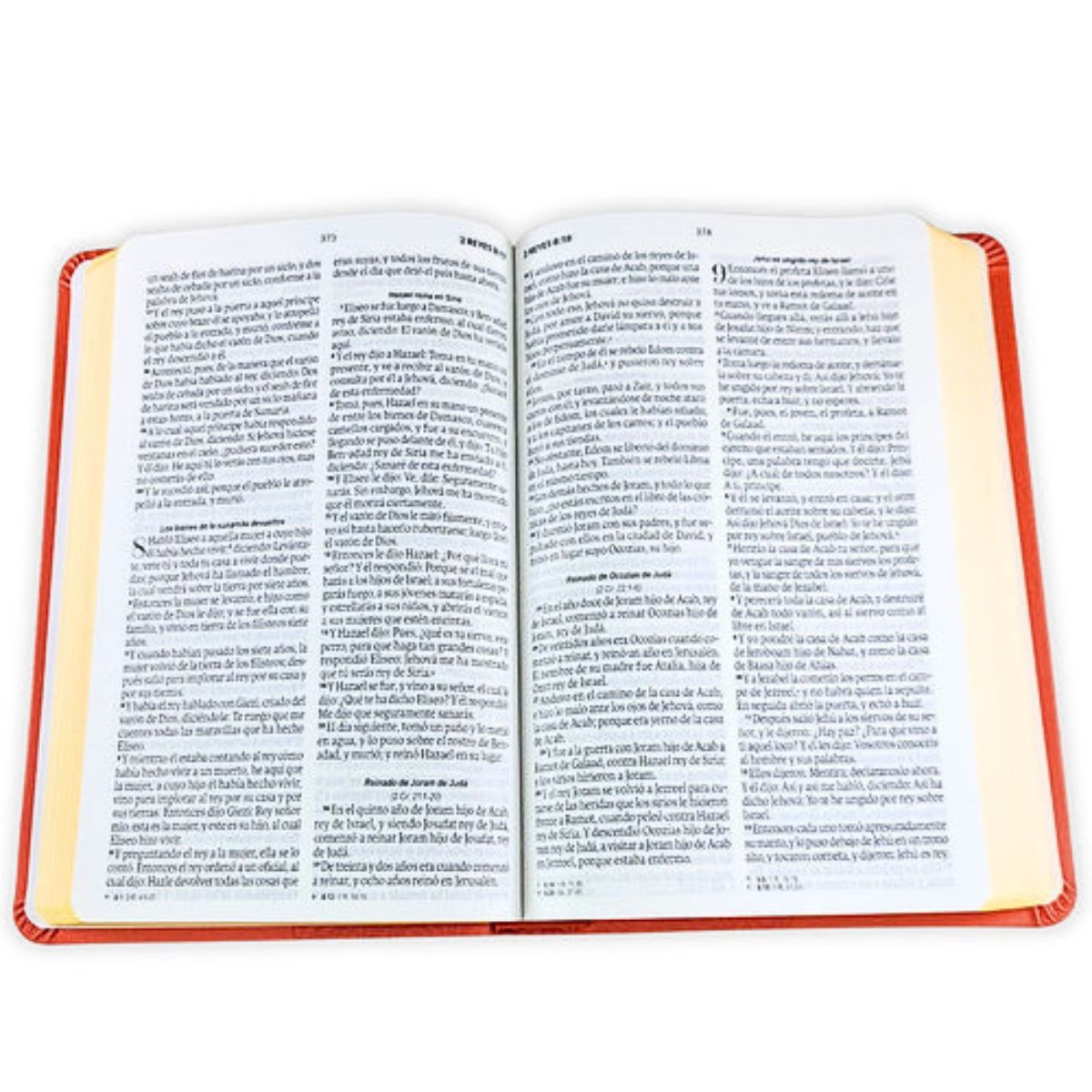 Biblia RVR1960 Obsequios y Premios Letra Grande Imitación Piel Coral - Imagen 3
