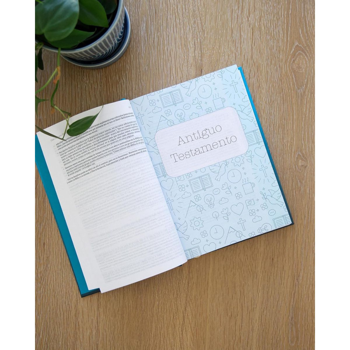 Biblia NVI Temas Cotidianos Para Mujeres Tapa Dura Turquesa - Imagen 3