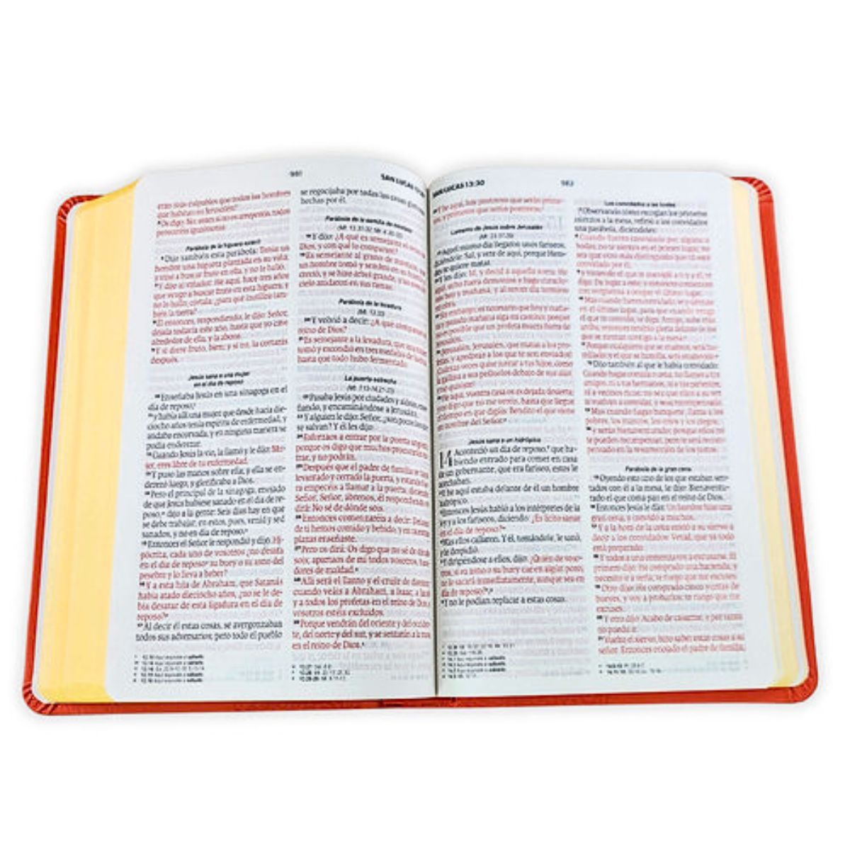 Biblia RVR1960 Obsequios y Premios Letra Grande Imitación Piel Coral - Imagen 4
