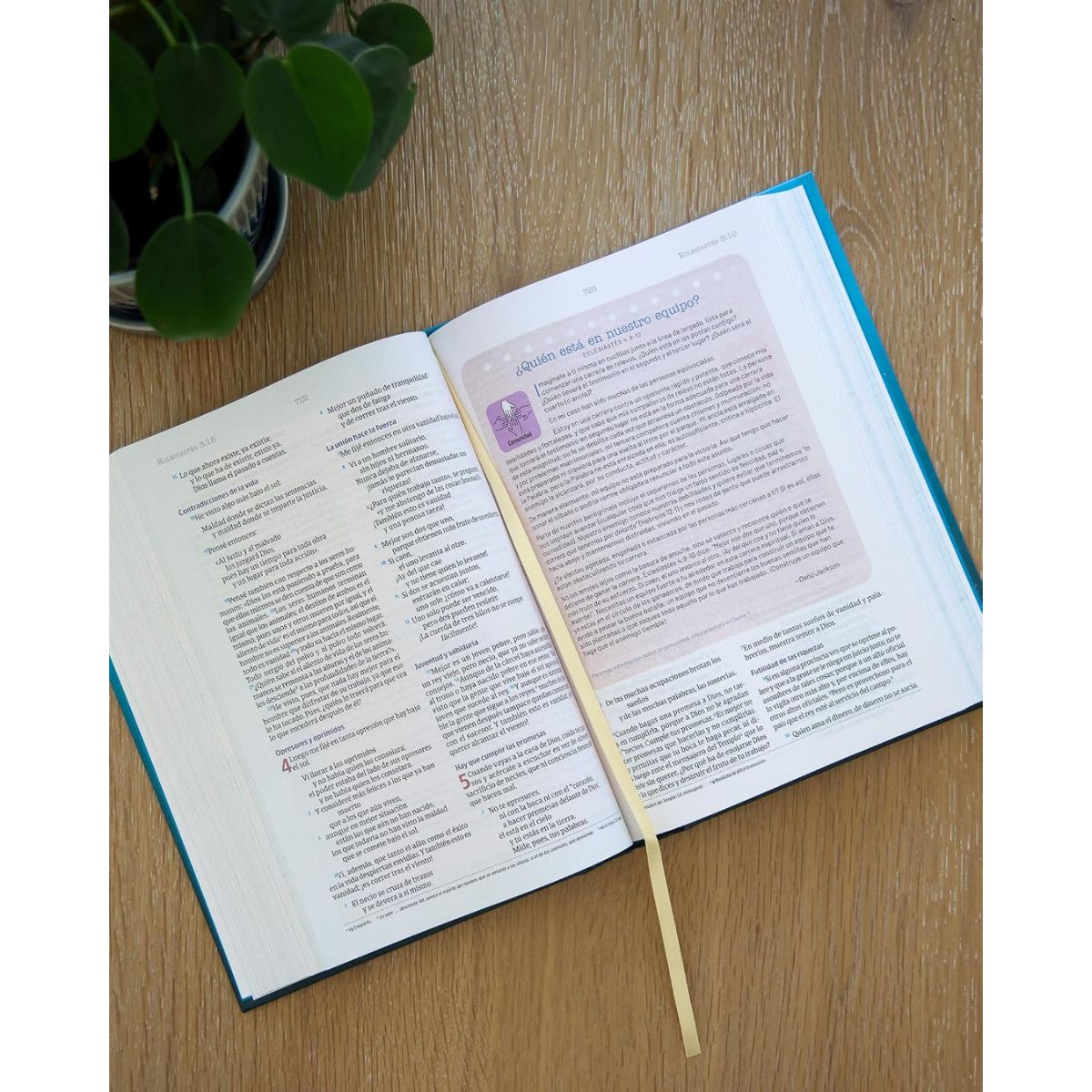 Biblia NVI Temas Cotidianos Para Mujeres Tapa Dura Turquesa - Imagen 4
