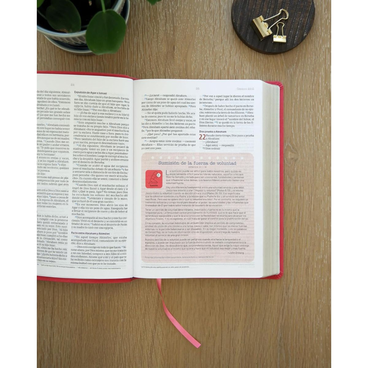 Biblia NVI Temas Cotidianos Para Mujeres, Piel especial, Rosa - Imagen 5