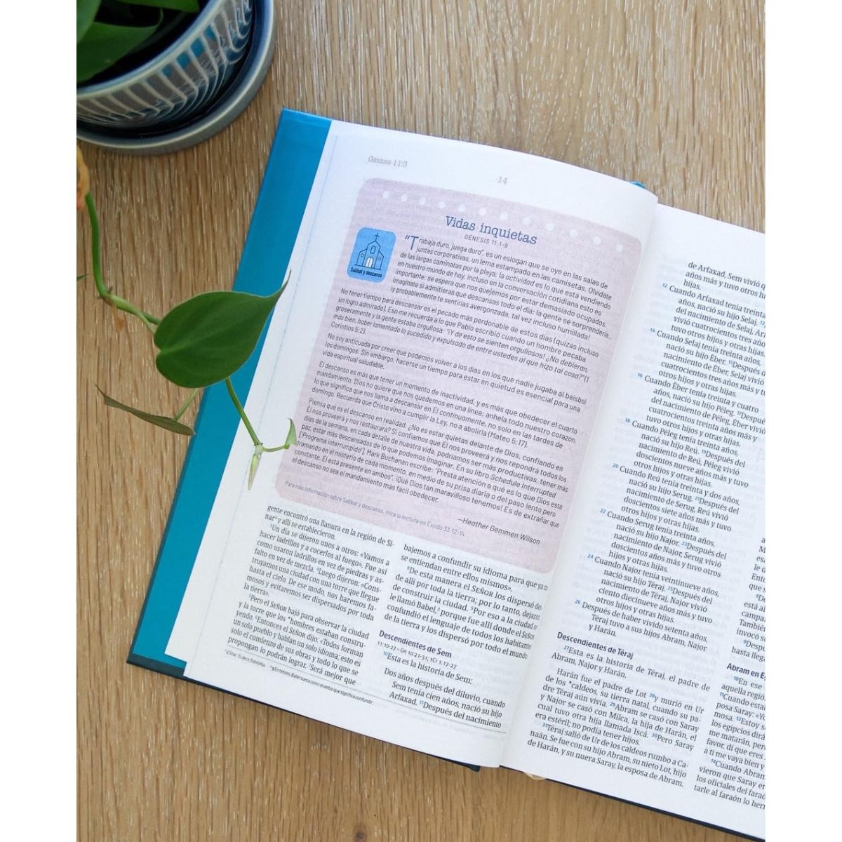 Biblia NVI Temas Cotidianos Para Mujeres Tapa Dura Turquesa - Imagen 5