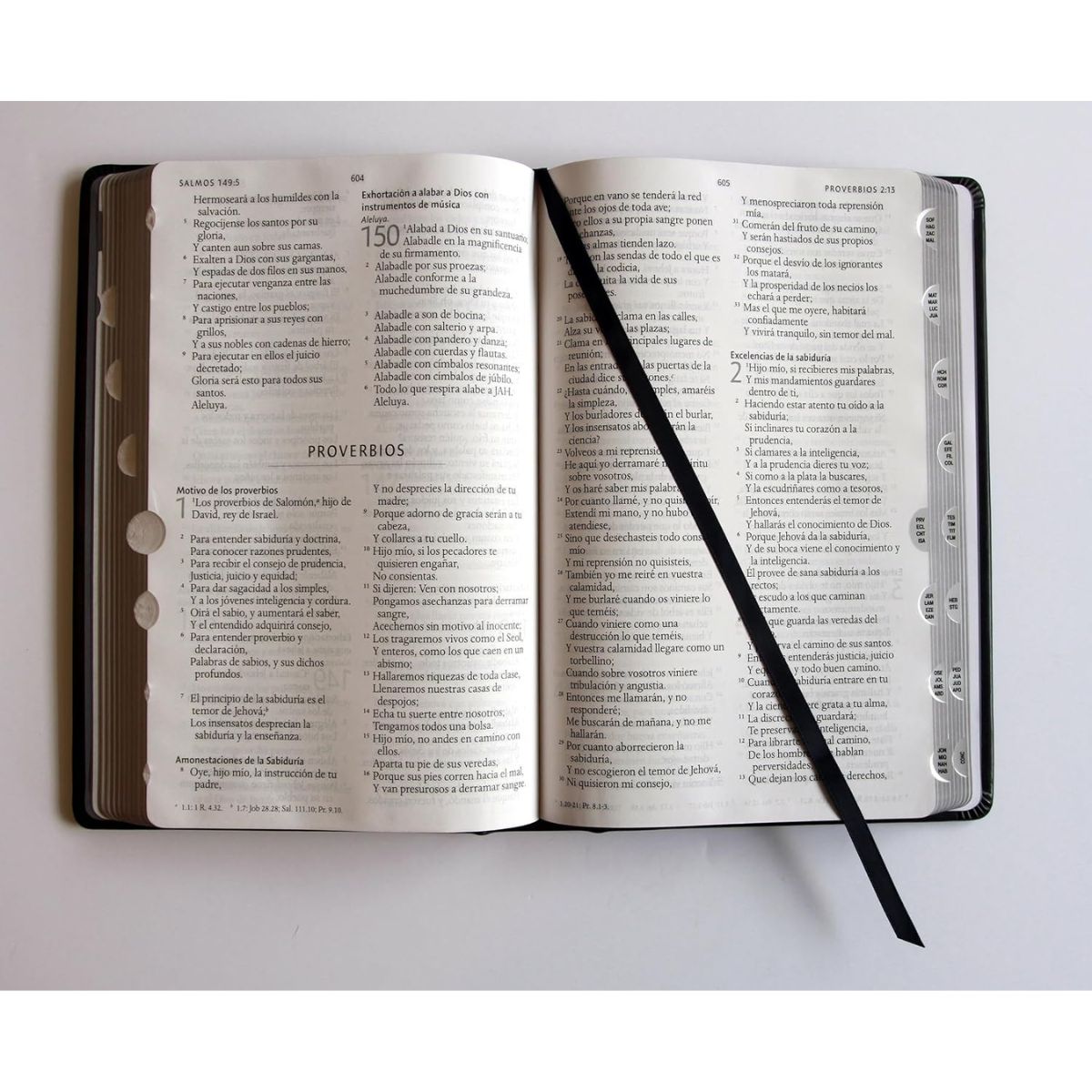 Biblia RVR1960 Letra grande León de Judá edición especial plata con índice y canto negro - Imagen 5