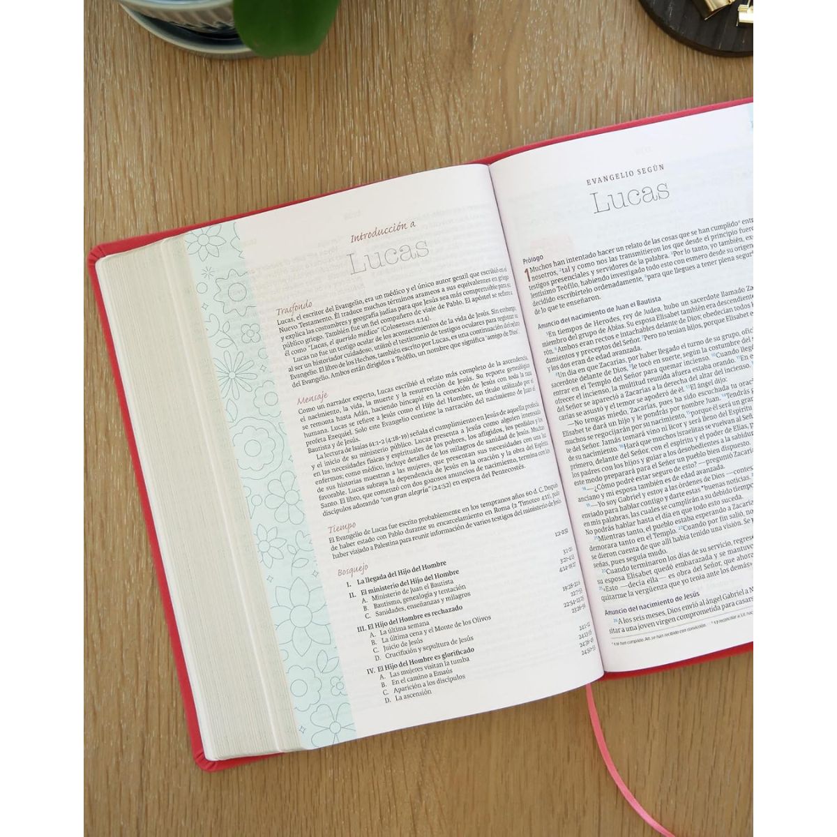 Biblia NVI Temas Cotidianos Para Mujeres, Piel especial, Rosa - Imagen 6