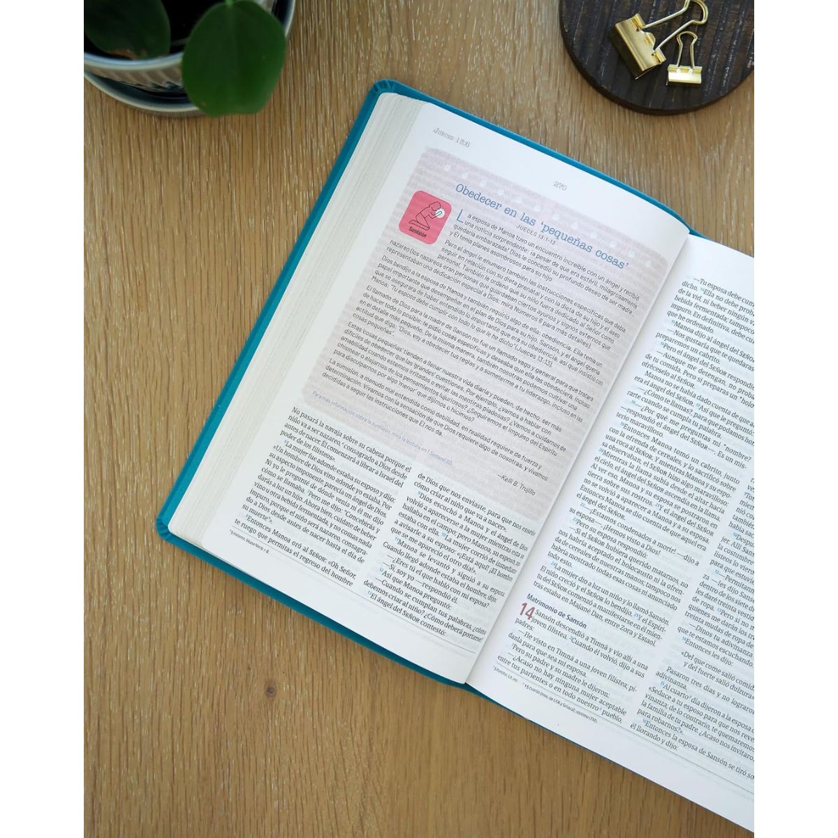 Biblia NVI Temas Cotidianos Para Mujeres Piel Especial Turquesa - Imagen 6