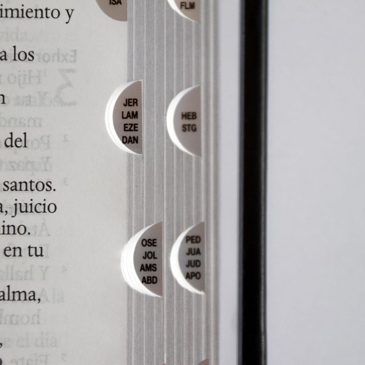 Biblia RVR1960 Letra grande León de Judá edición especial plata con índice y canto negro - Imagen 6