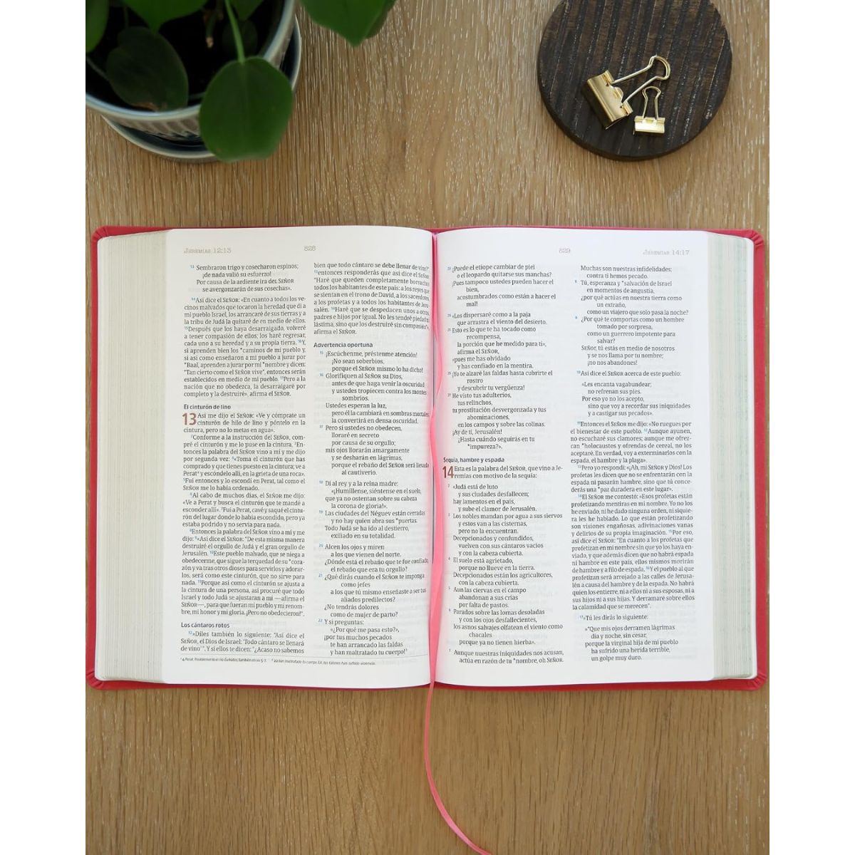 Biblia NVI Temas Cotidianos Para Mujeres, Piel especial, Rosa - Imagen 7