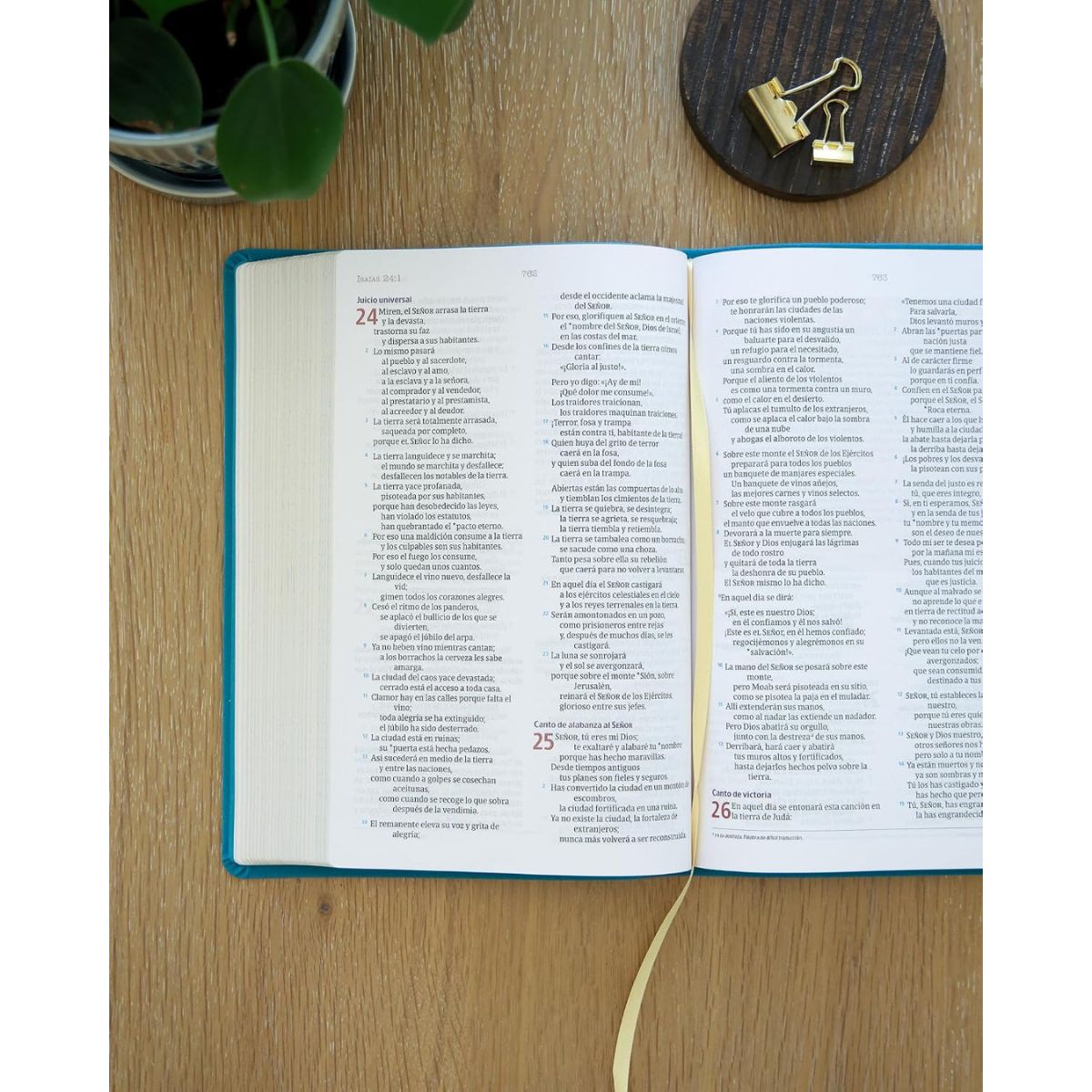 Biblia NVI Temas Cotidianos Para Mujeres Piel Especial Turquesa - Imagen 7