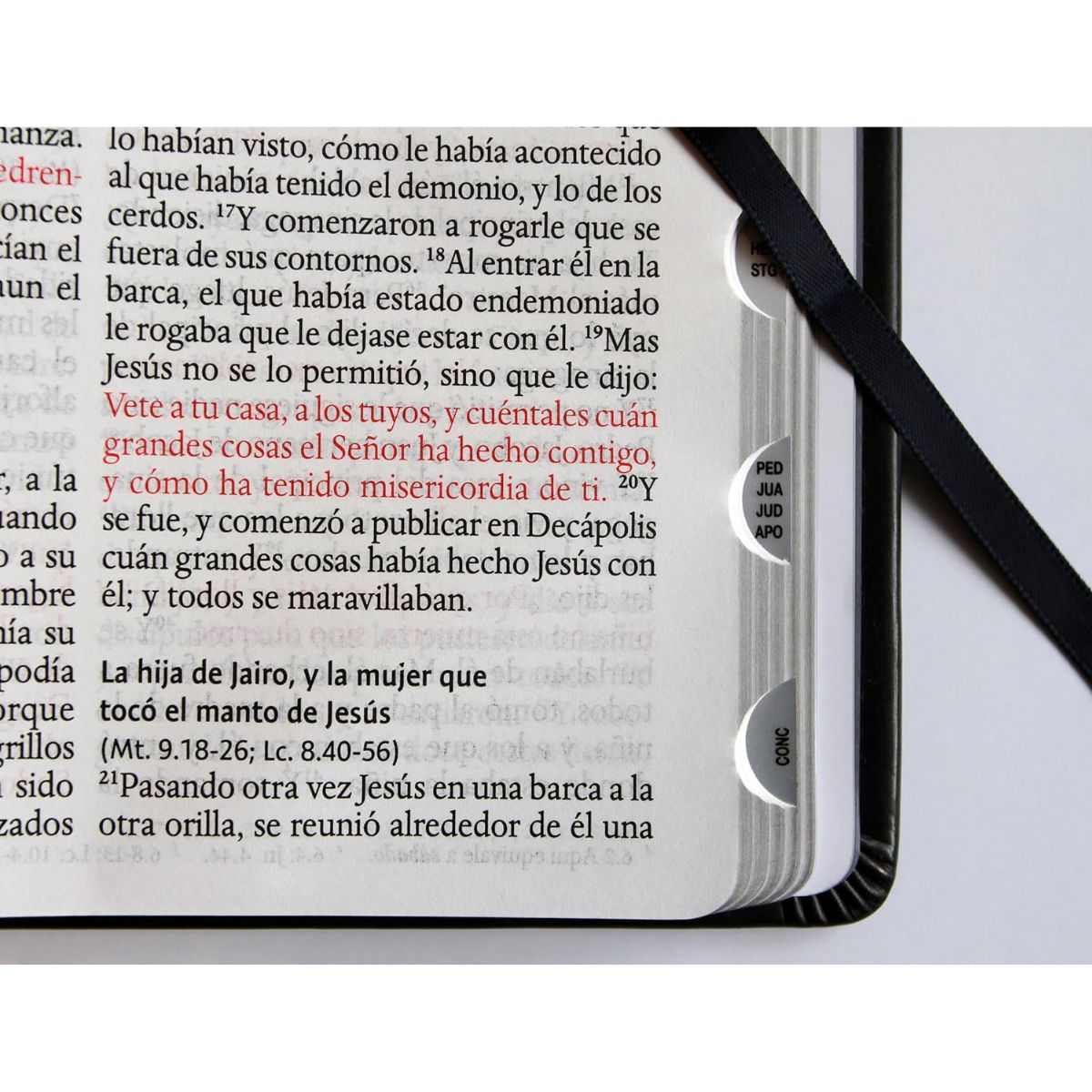 Biblia RVR1960 Letra grande León de Judá edición especial plata con índice y canto negro - Imagen 7
