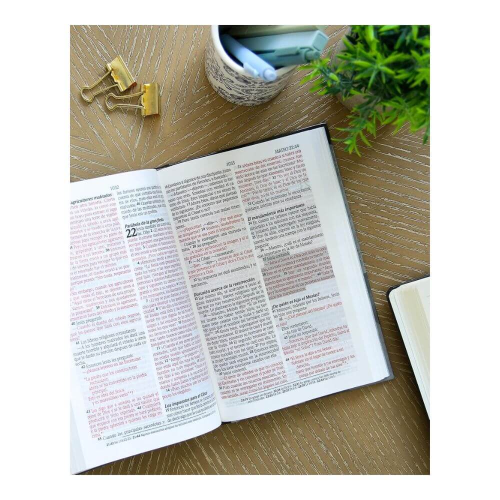 Biblia de Promesas Edición para Hombres NTV - Imagen 9