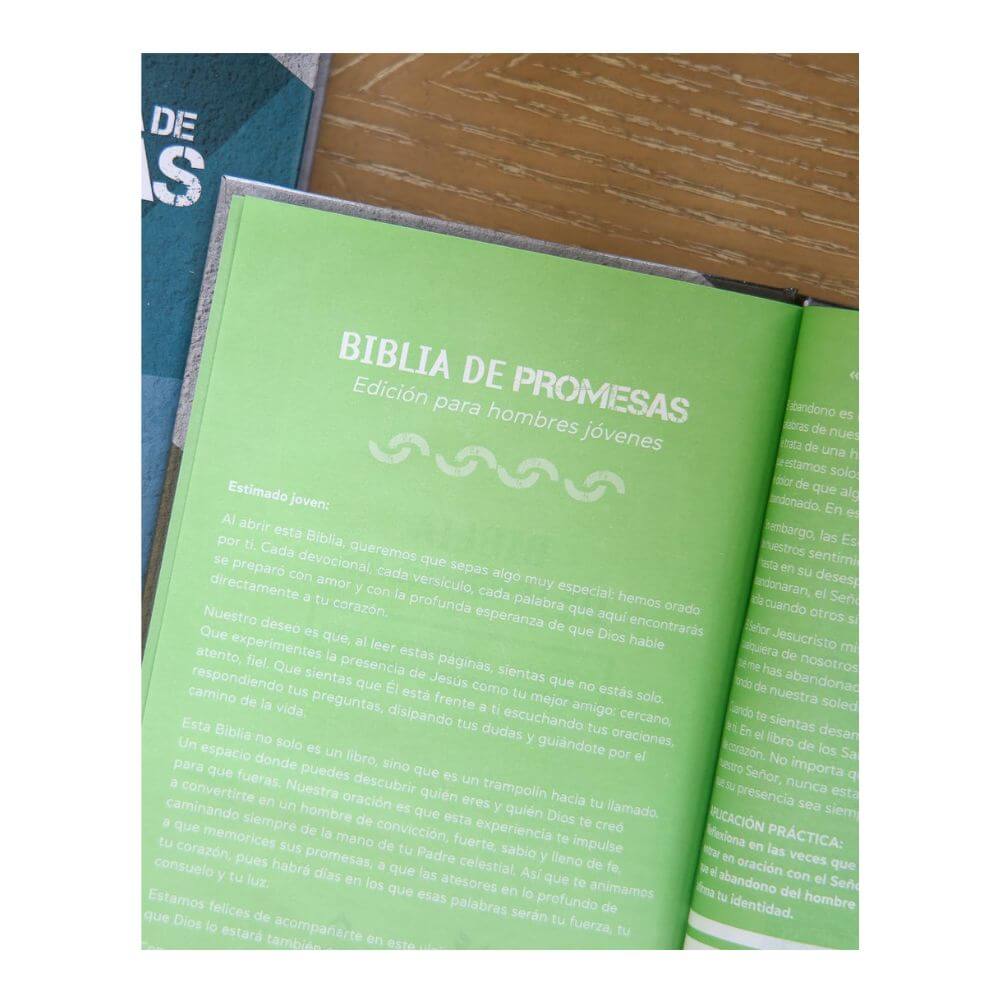 Biblia de Promesas Edición para Hombres NTV - Imagen 11