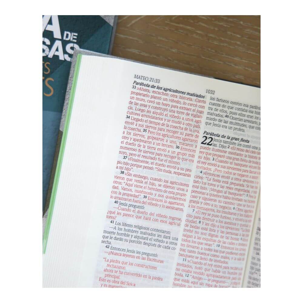 Biblia de Promesas Edición para Hombres NTV - Imagen 8