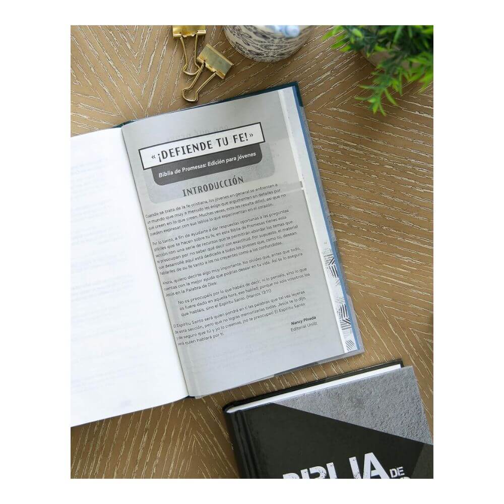 Biblia de Promesas Edición para Hombres NTV - Imagen 6